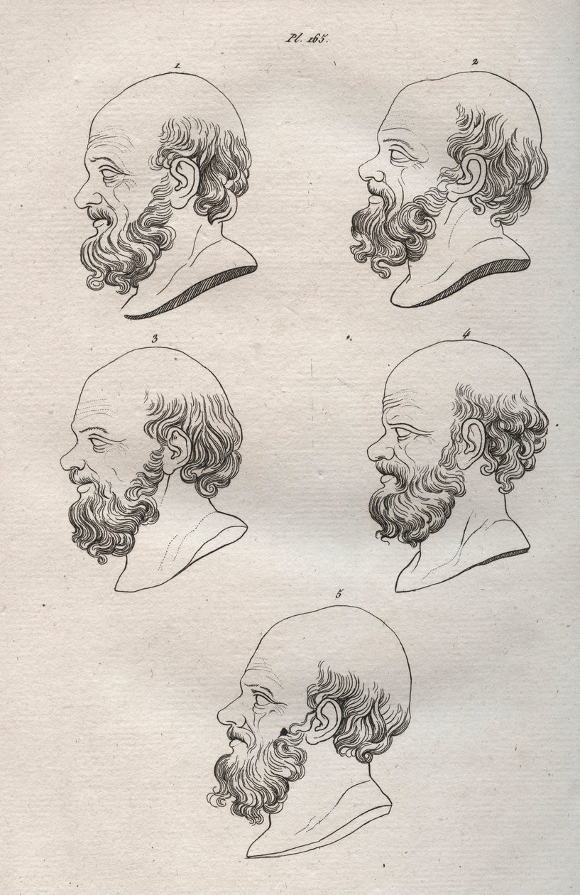 Fisiognomia - Fisiognomonia - Várias cabeças do filósofo grego Sócrates (ca. 469 AC-399 AC) (Busto de Sócrates (ca. 469 AC-399 AC), filósofo ateniense) gravura de 1808 em "A arte de conhecer os homens através da fisionomia" de Johann Gaspar (Gaspard) Lavat de Anonymous Anonymous