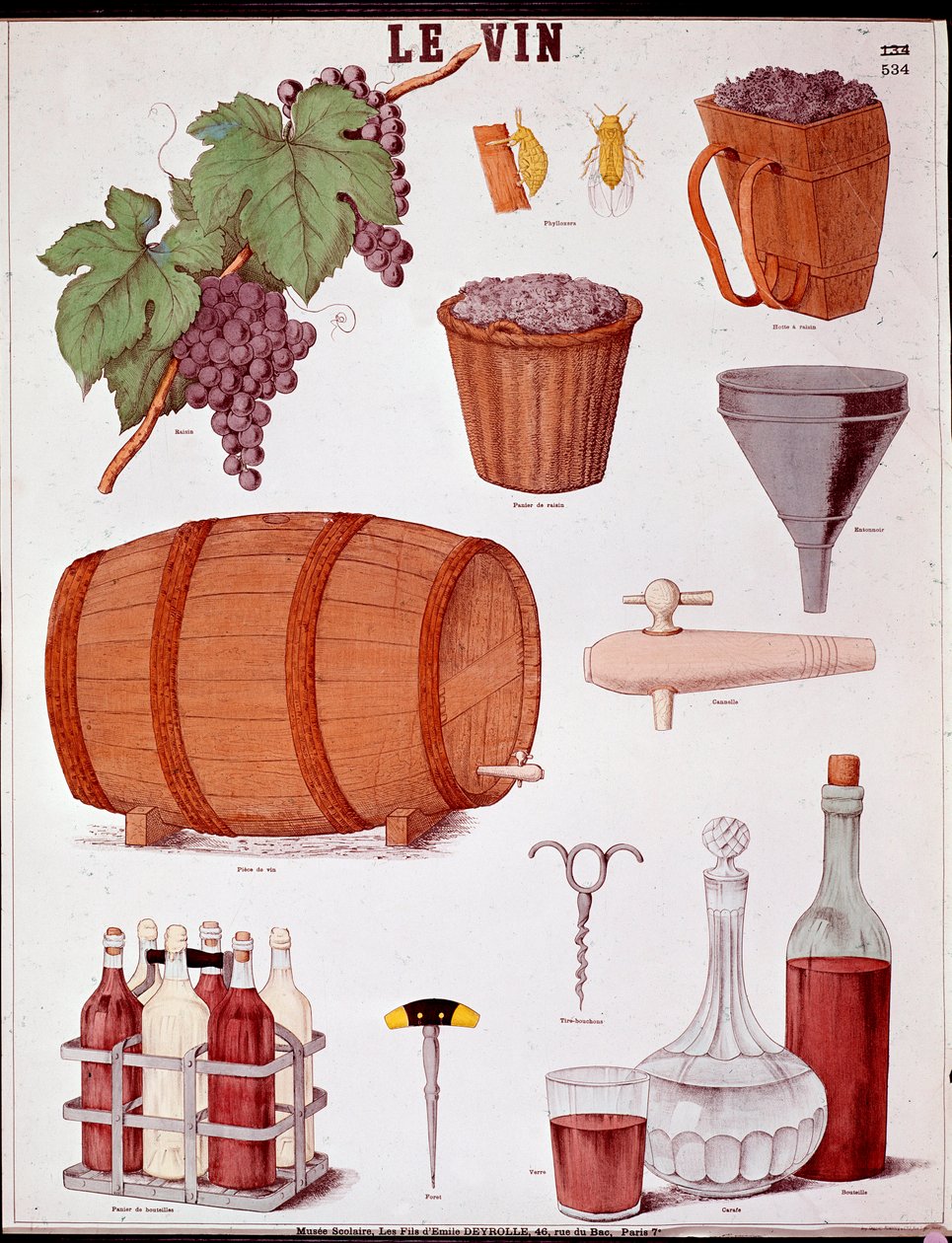 Placa ilustrada na arte de fazer vinho e na enologia: uva, funil, canela, cesto e extractor, peça de vinho, saca-rolhas (saca-rolhas), garrafa, garrafa, jarra, broca e caixa de vinho. Gravura da Colecção Privada do século XIX de Anonymous Anonymous