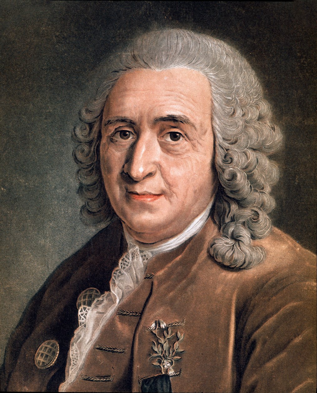 Retrato de Charles Linne (Carl von Linne, Linneus 1707 - 1778), pintor naturalista anônimo sueco. Século XVIII. Milão, coleção particular de Anonymous Anonymous