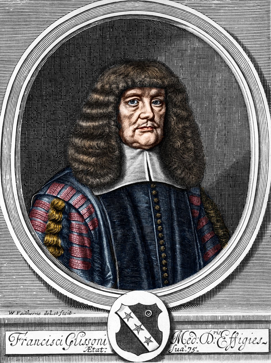 Retrato de Francis Glisson (1599-1677) Médico britânico, anatomista. de Anonymous Anonymous