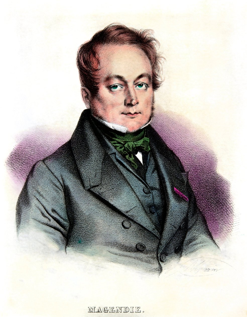 Retrato de François Magendie (1783-1855) médico e fisiologista, Coleção Privee de Anonymous Anonymous