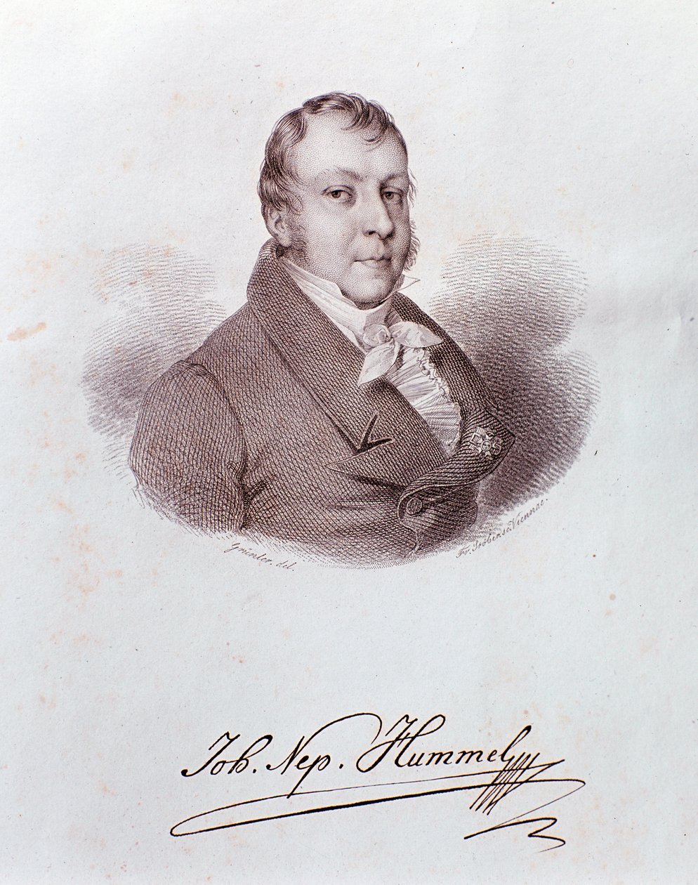 Retrato de Johann Nepomuk Hummel (gravura) de Anonymous Anonymous