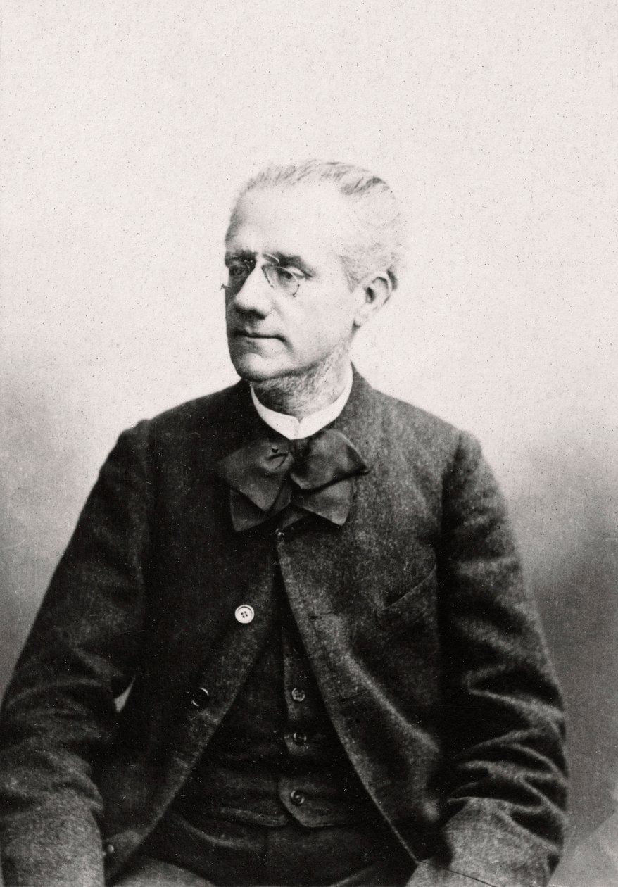 Retrato de Louis Eugene Pouillet (1835-1905) Advogado, Coleção Privee de Anonymous Anonymous