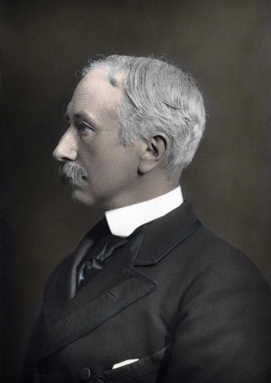 Retrato do Visconde Marechal Garnet Joseph Wolseley (1833-1913), Comandante-em-Chefe do Exército Britânico de Anonymous Anonymous