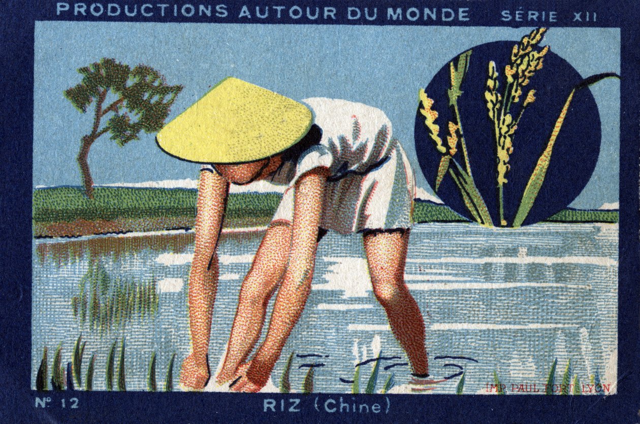 Produções em todo o mundo: O arroz na China. Cromolitografia de 1933 em "Joseph-Milliat Album". de Anonymous Anonymous