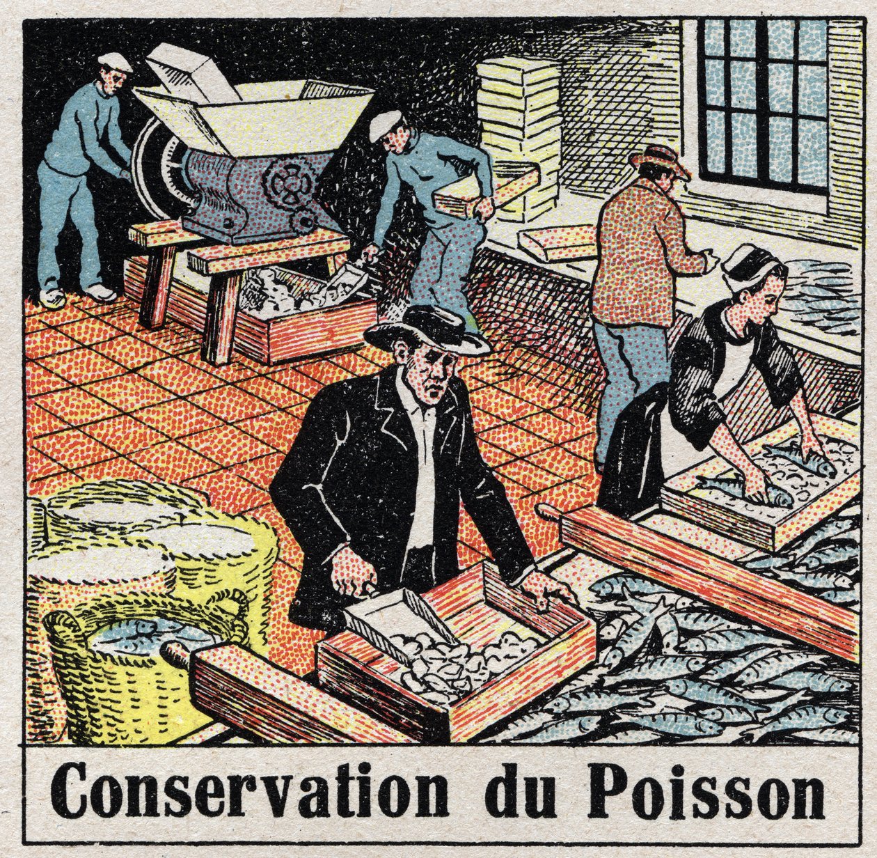 A Indústria do Frio: Conservação de Peixes no Gelo. Ilustração anónima de 1925. Coleção privada. de Anonymous Anonymous