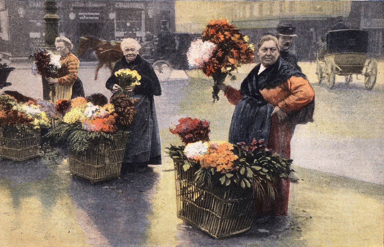 A festa do crisântemo: comerciante do crisântemo na rua. A gravura. Um dos jornais "Le petit parisien" em 20/11/1910. Colecção privada. de Anonymous Anonymous