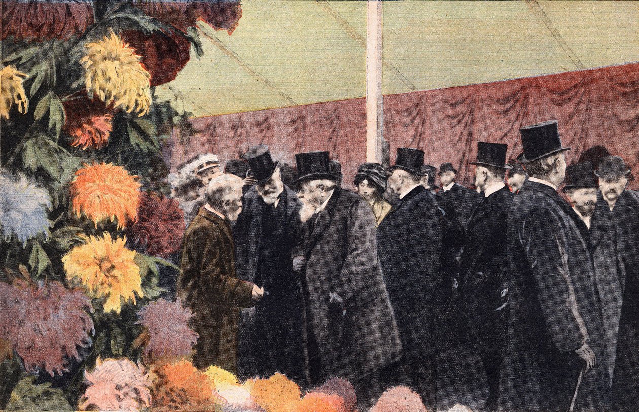 A festa de crisântemo: exposição oficial de crisântemo. Gravura. Um dos jornais "Le petit parisien" em 20/11/1910. Colecção privada. de Anonymous Anonymous