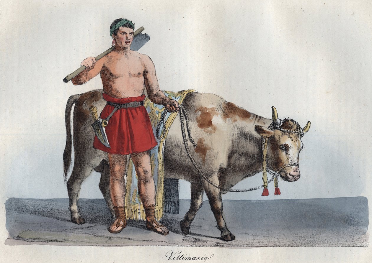 Vítimas - victimarius (comerciante de animais destinados ao sacrifício) (Aquele que apreendeu o sacrifício, e bateu nas vítimas) gravada de "Usi e Costumi di Tutti i Popoli dell