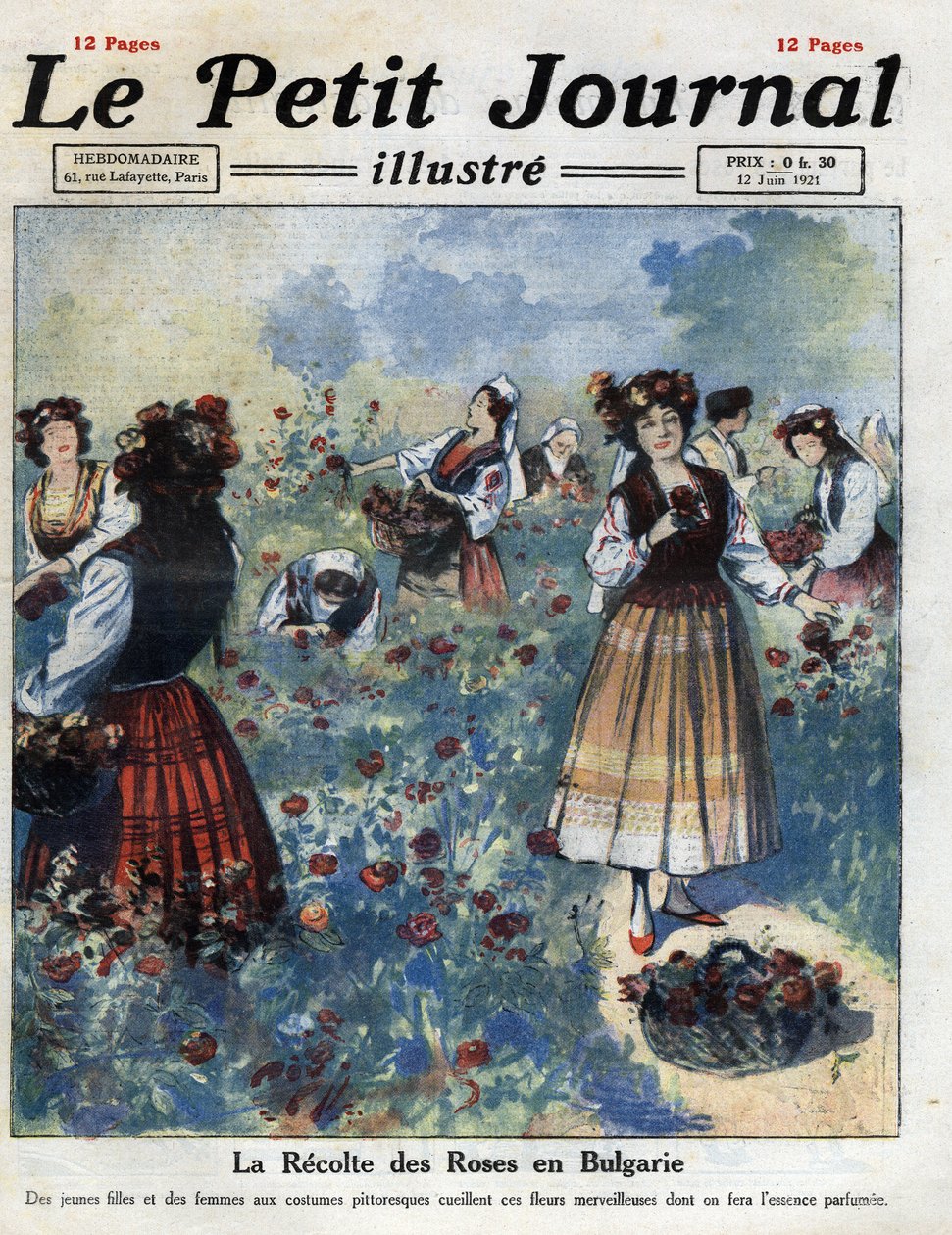 Jovens mulheres em traje tradicional búlgaro colhem rosas para o fabrico de água de rosas. Ilustração retirada do "Le petit journal illustrious" de 12/06/1921. Coleção Particular de Anonymous Anonymous