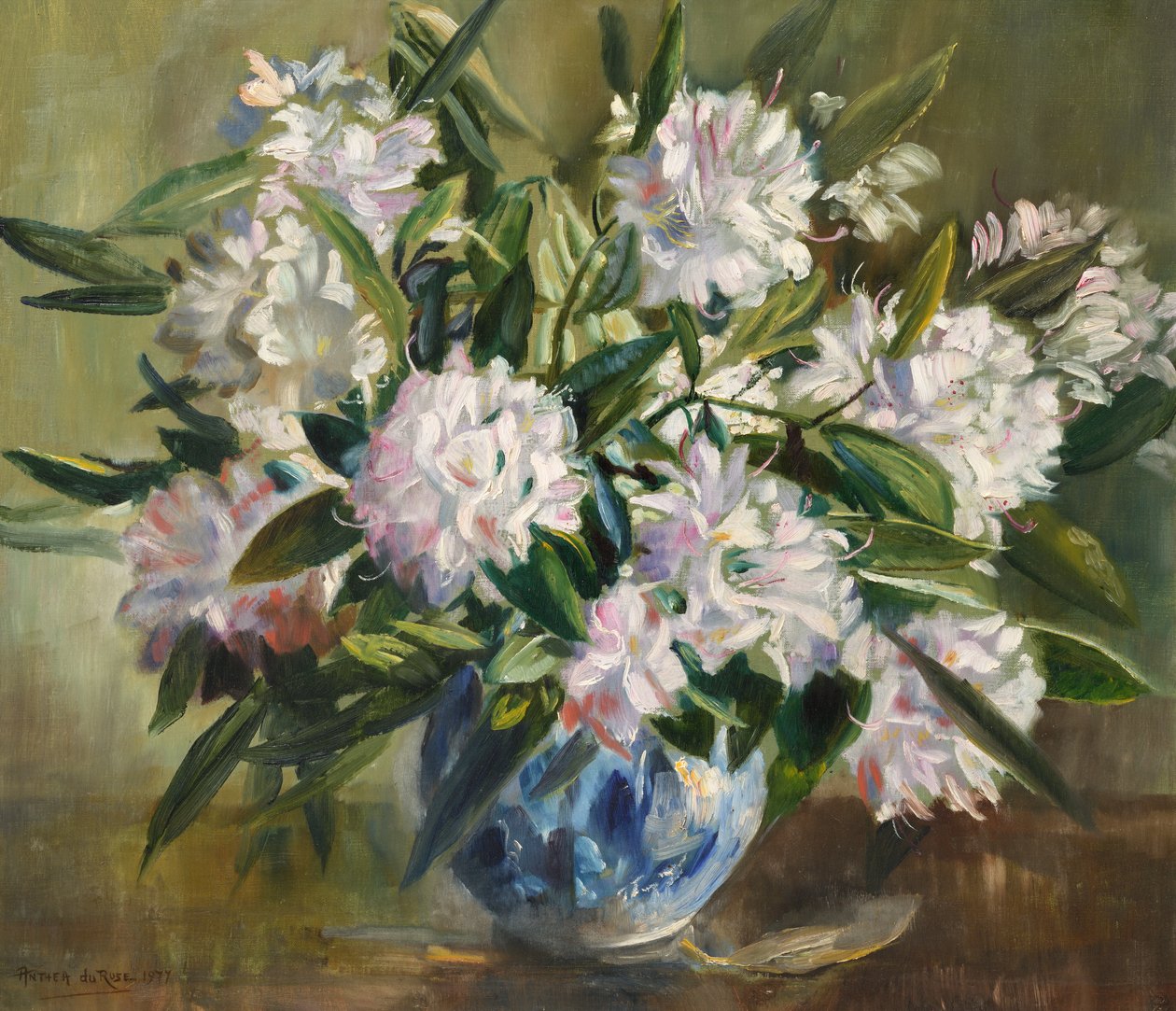 Rododendros, branco pálido e rosa de Anthea Durose