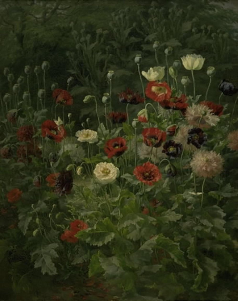 Papoilas de Anthonie Christensen