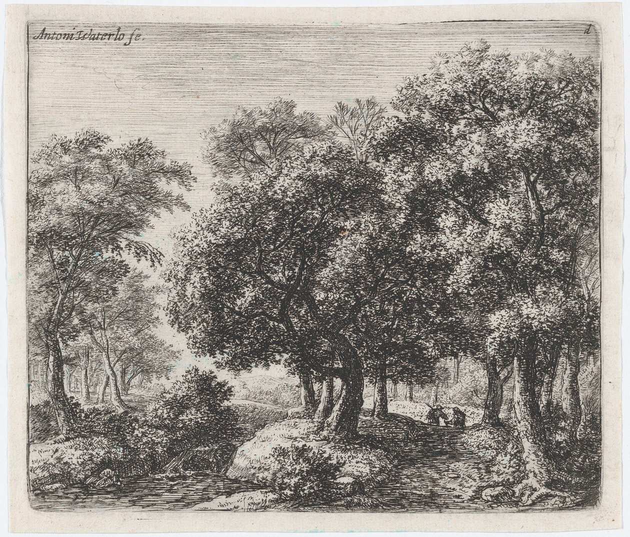 Floresta. de Anthonie Waterloo