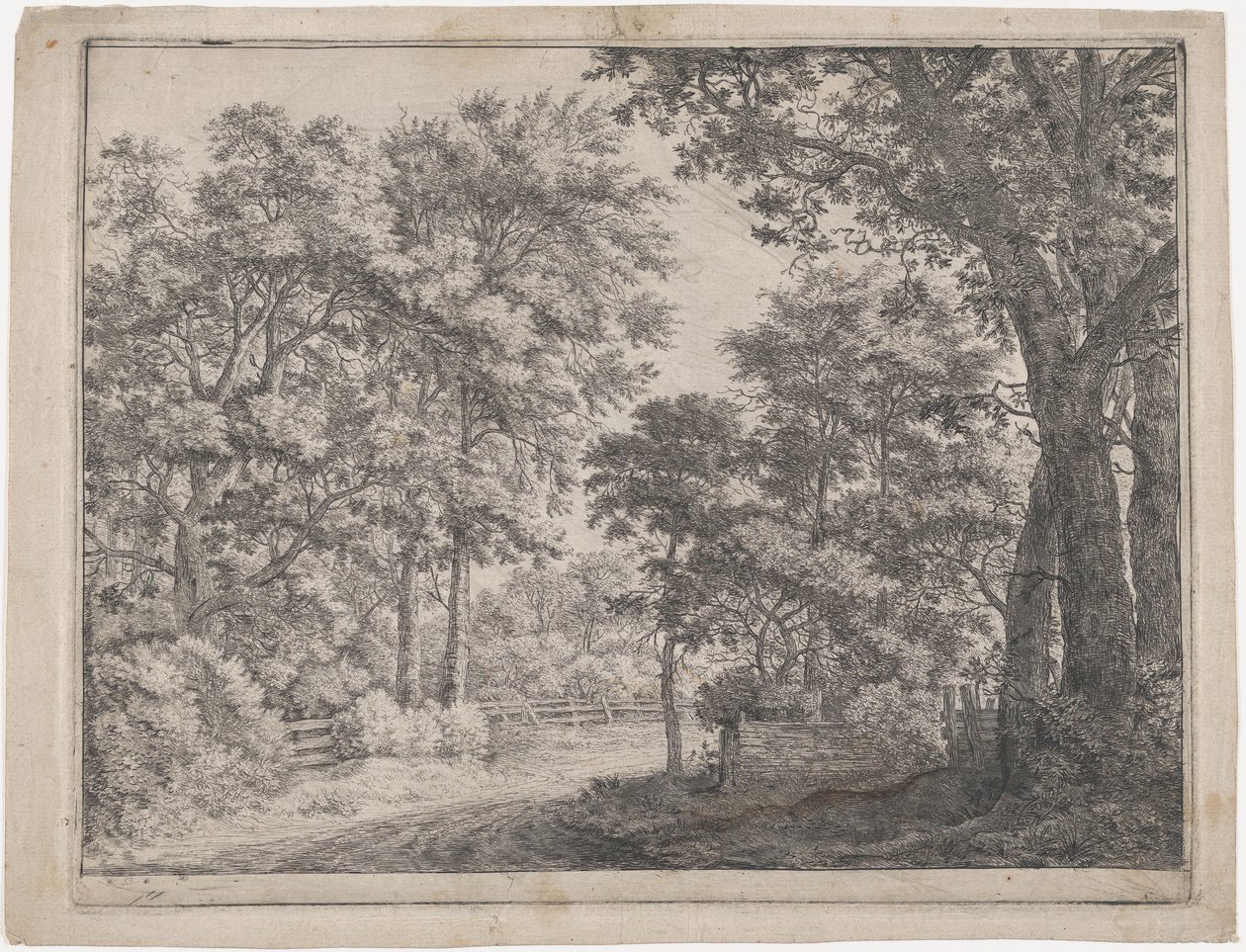 Os Bosques Aparados, século XVII. de Anthonie Waterloo