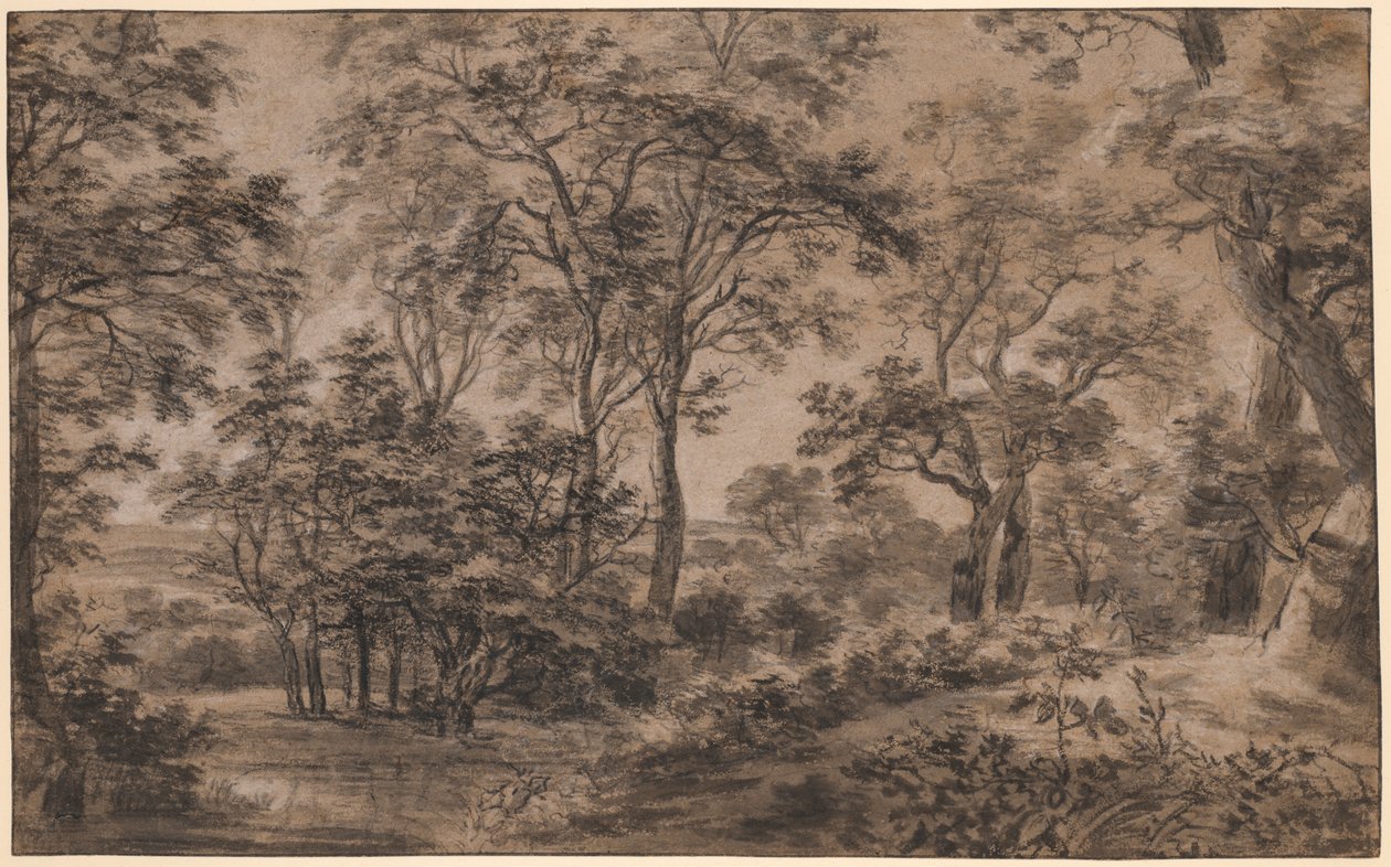 Paisagem arborizada de Anthonie Waterloo