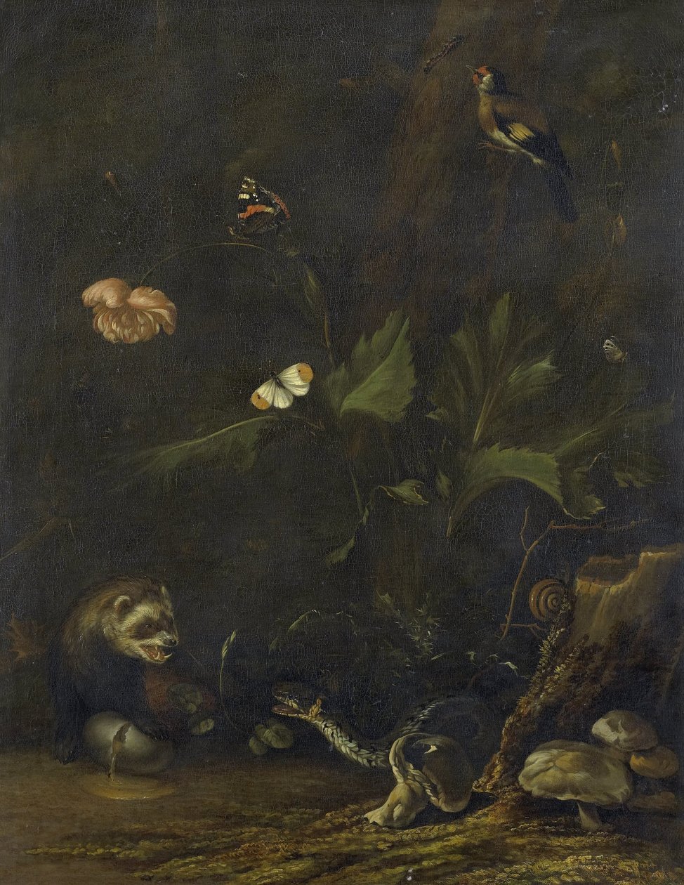 Animais e Plantas de Anthonie van Borssom
