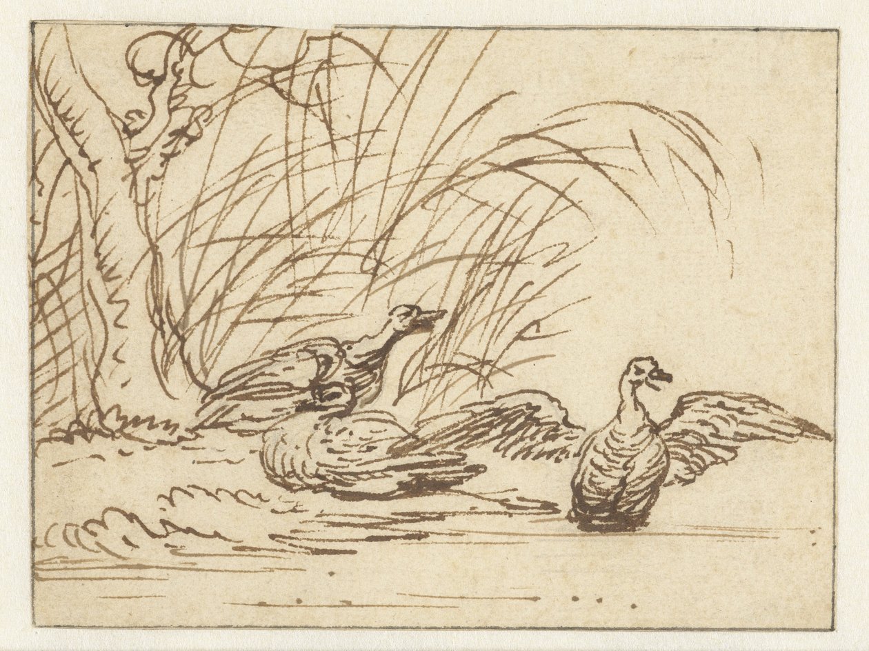 Três patos na beira-mar de Anthonie van Borssom