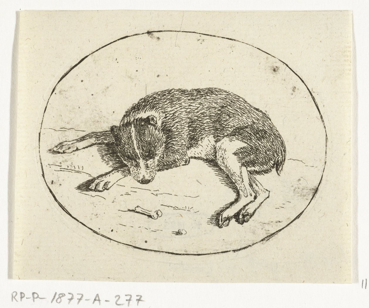 Cão reclinador de Anthonie van den Bos