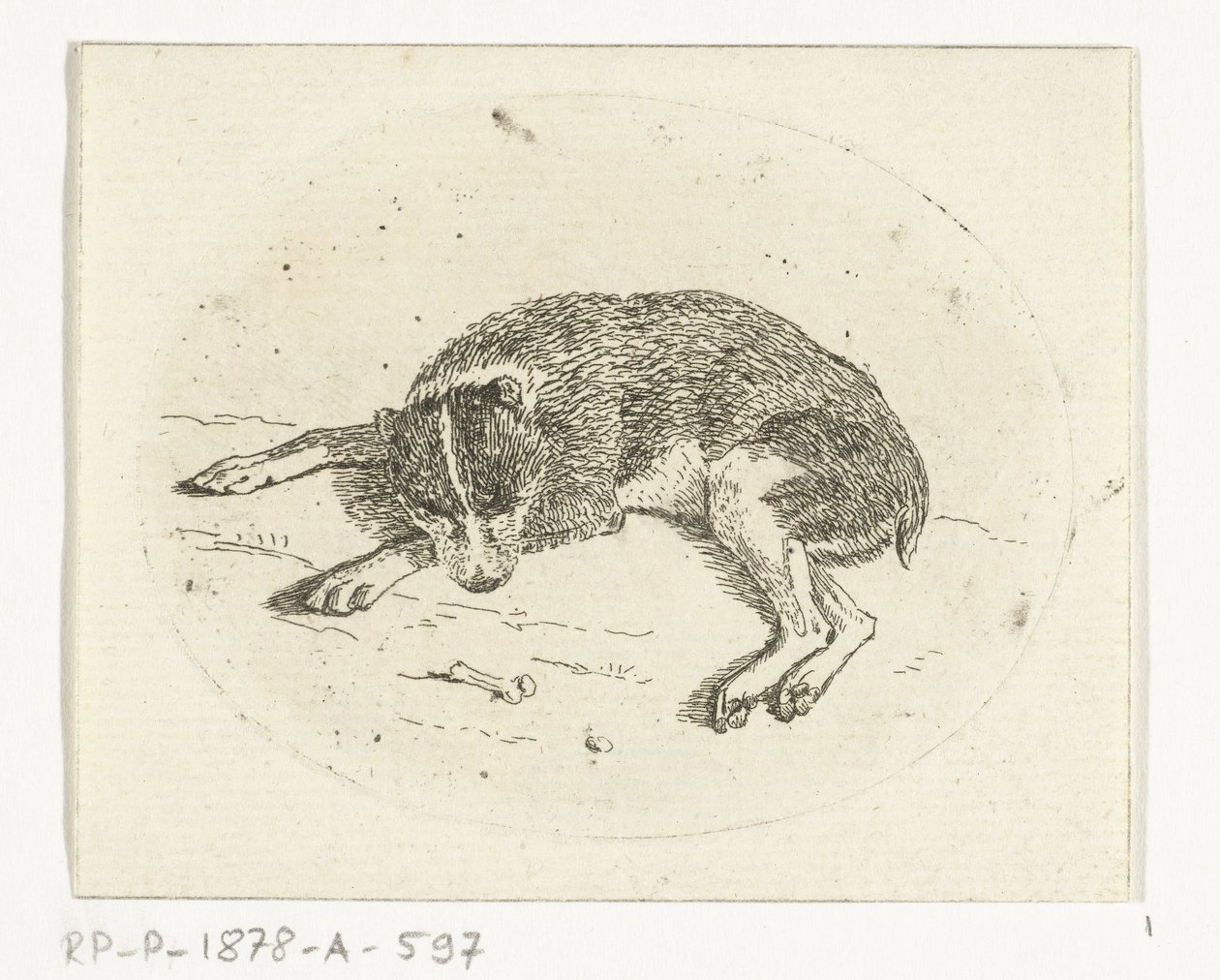 cachorro deitado de Anthonie van den Bos