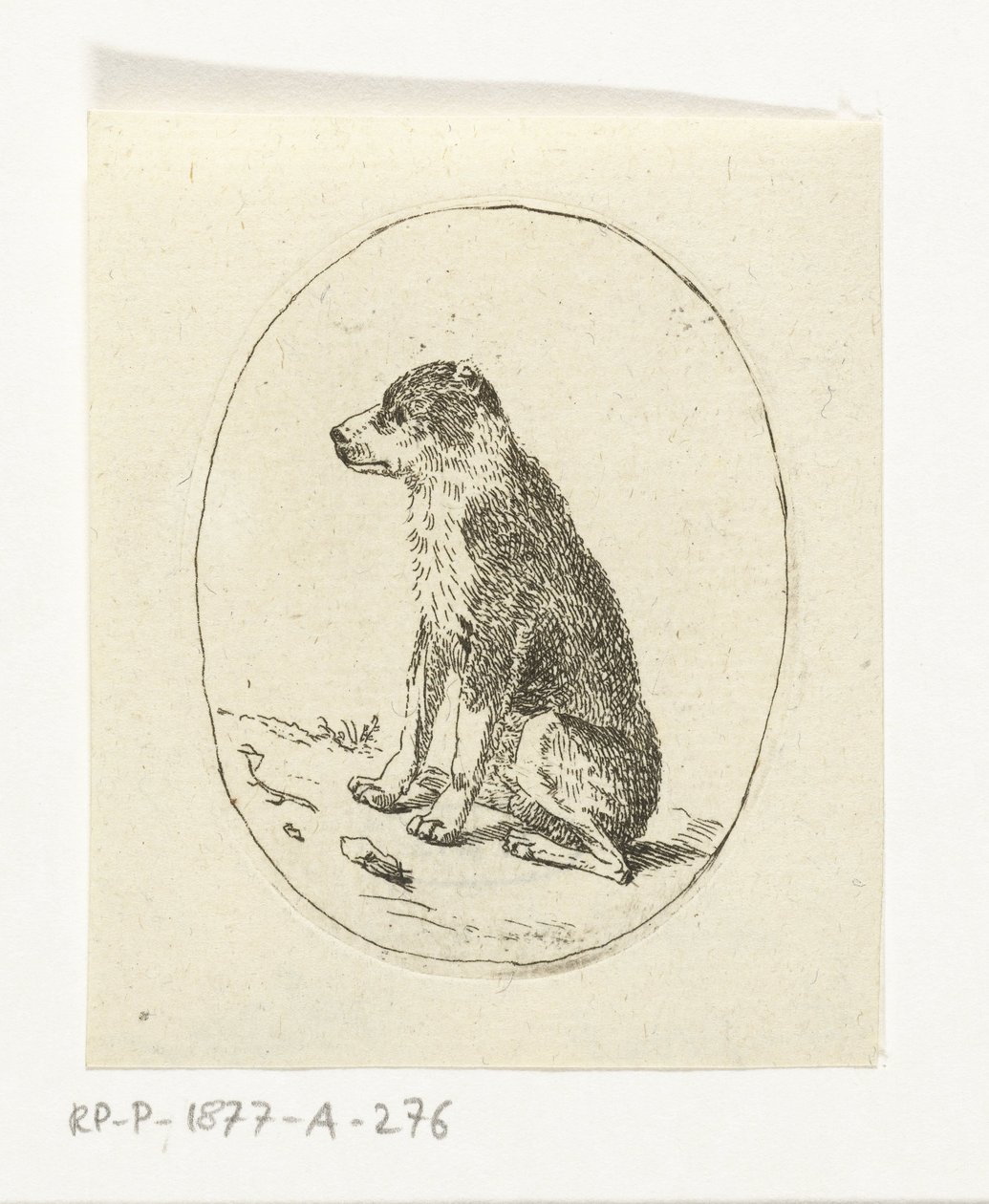 Cão sentado de Anthonie van den Bos
