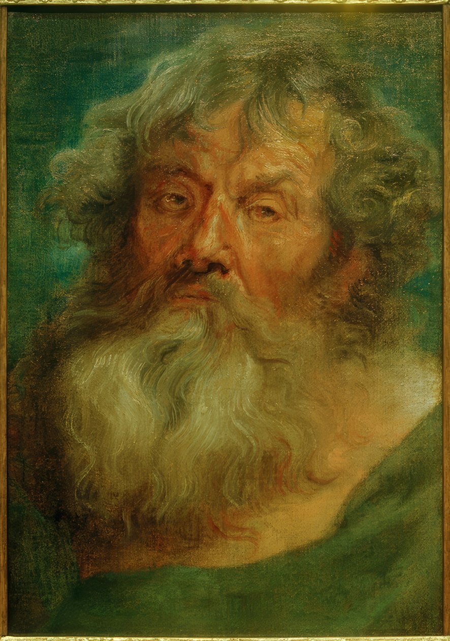 Cabeça de um homem velho de Anthony van Dyck
