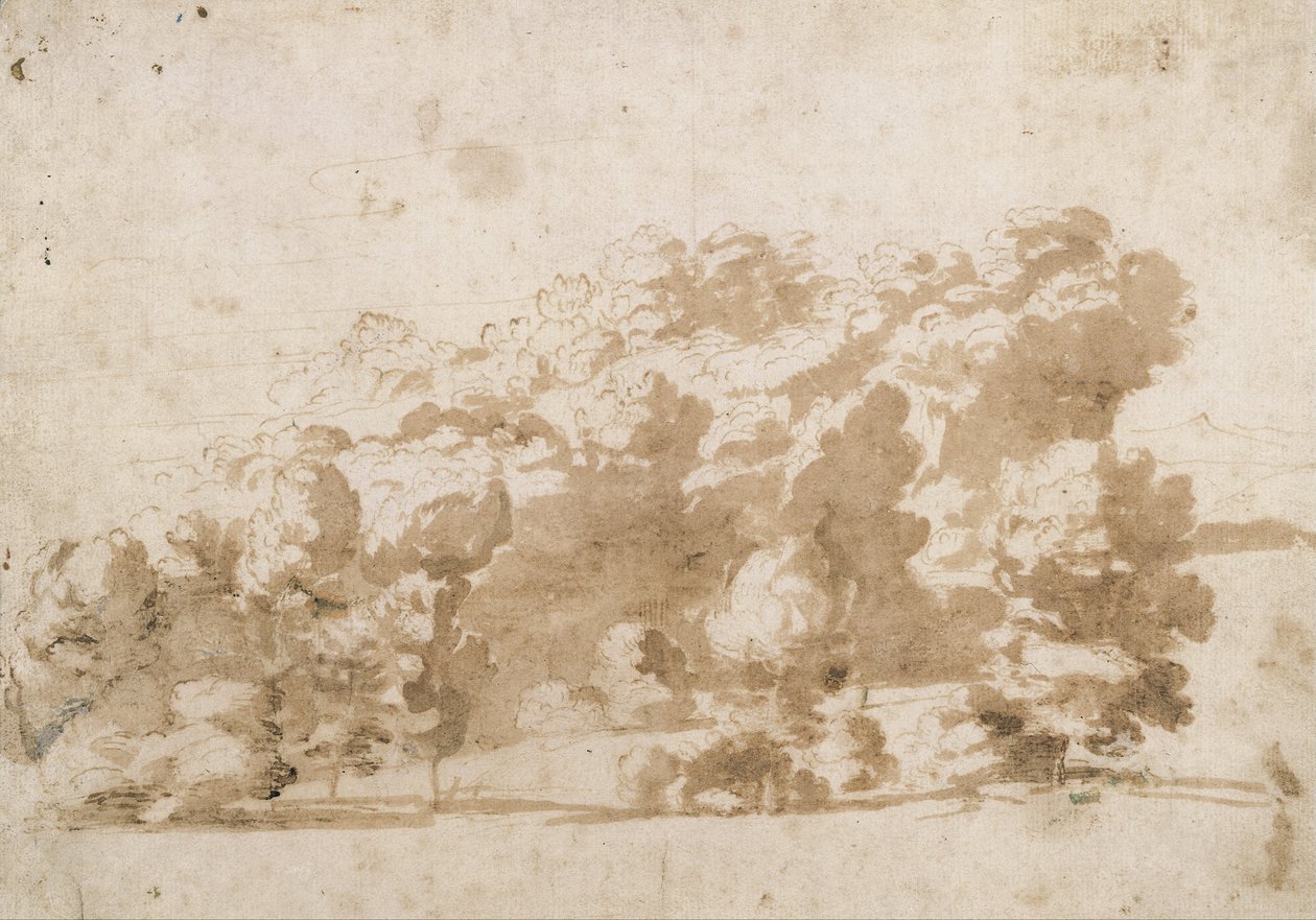 Um cume arborizado de Anthony van Dyck