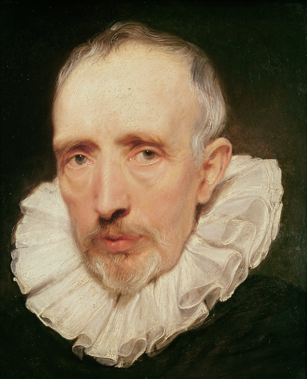 Retrato de Cornelis van der Geest, c.1620 (óleo em carvalho) de Anthony van Dyck