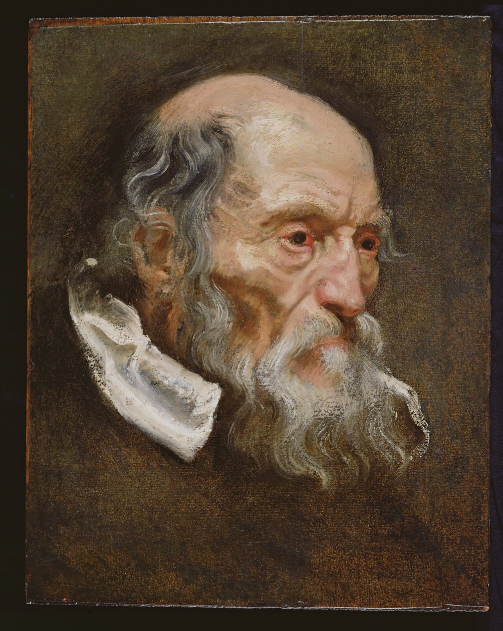 Retrato, de, um, homem velho de Anthony van Dyck