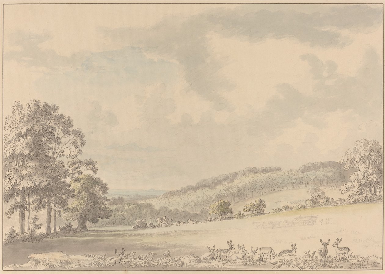 Cervos descansando em Albury Park de Anthony Devis