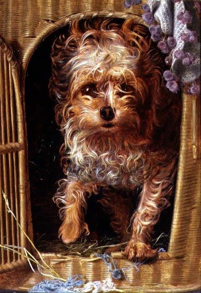 Darby, um Yorkshire Terrier (óleo sobre painel) de Anthony Frederick Augustus Sandys