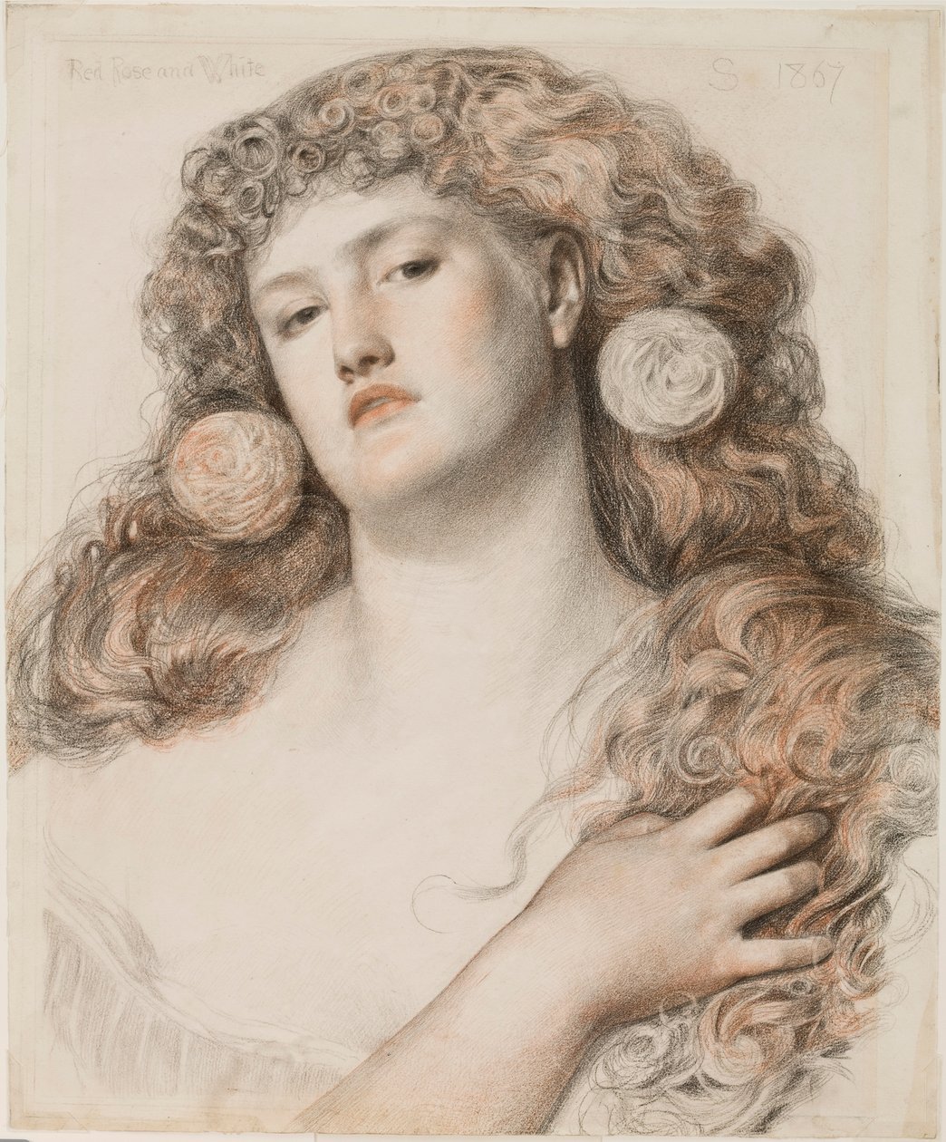 Rosa Vermelha e Branca, 1867 (giz sobre papel) de Anthony Frederick Augustus Sandys
