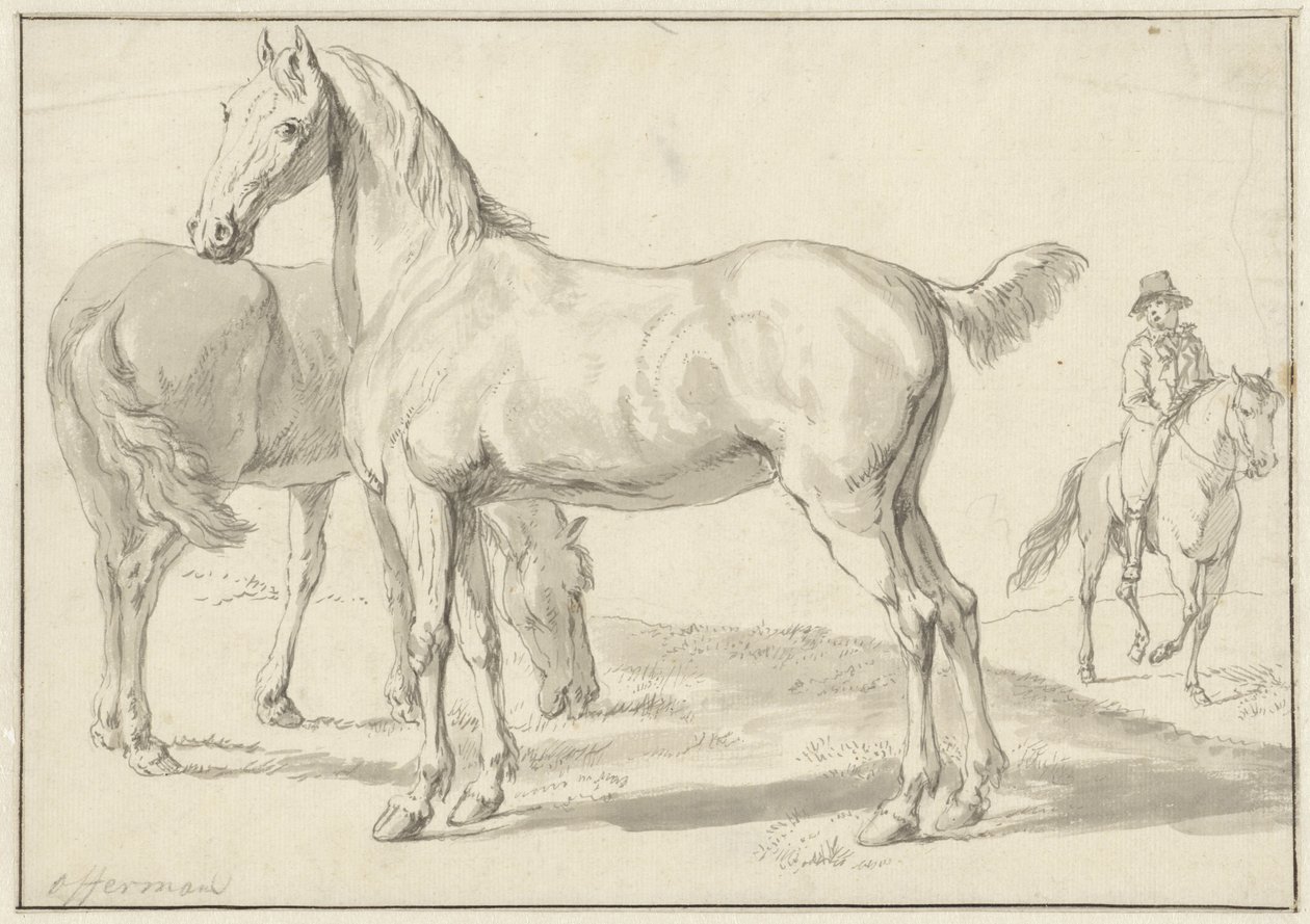 Dois cavalos num prado, um cavaleiro à direita de Anthony Jacobus Offermans