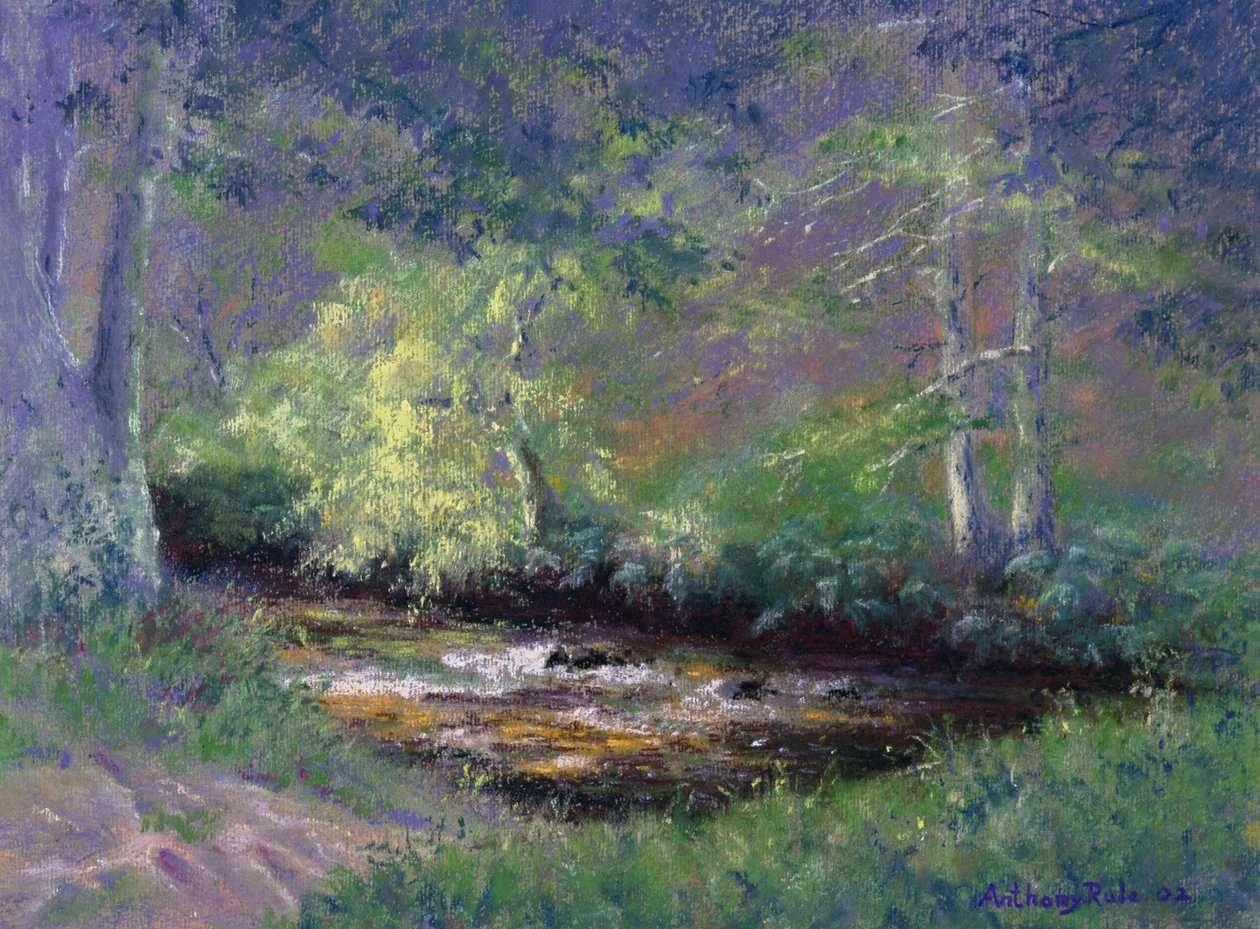 Córrego da Floresta, 2002 de Anthony Rule