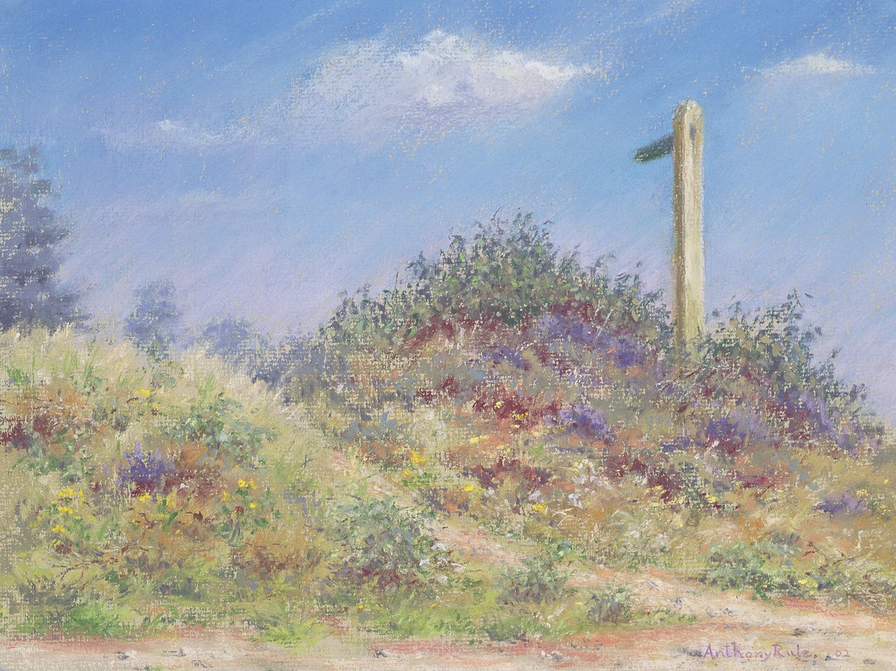 Caminhos públicos, 2002 de Anthony Rule