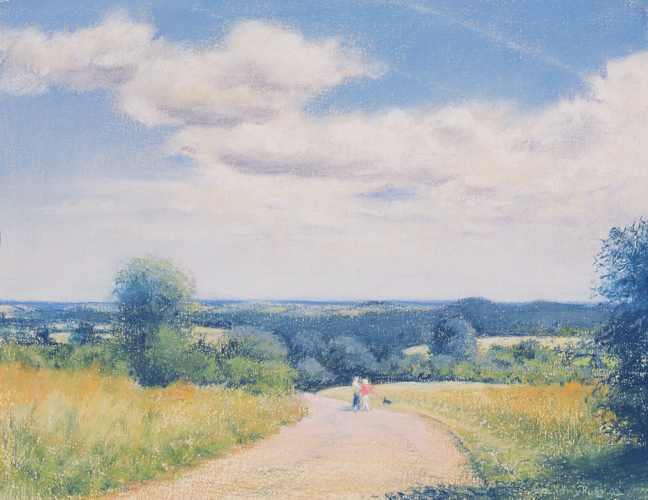 Passeio de domingo, 2003 de Anthony Rule