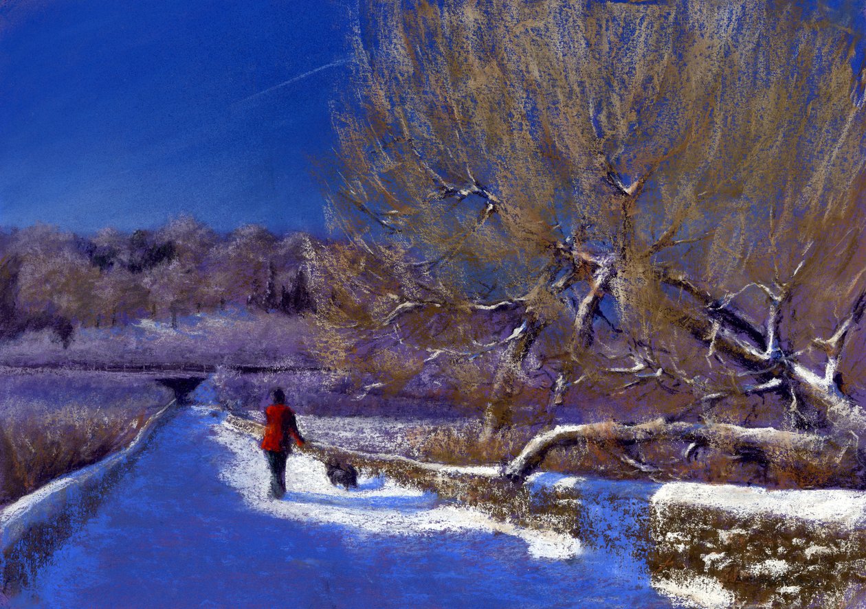 Caminhada de Inverno, 2012 de Anthony Rule