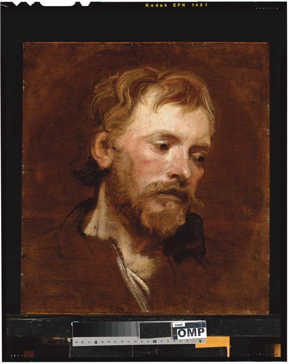 Um homem barbudo, um estudo de Anthony van Dyck