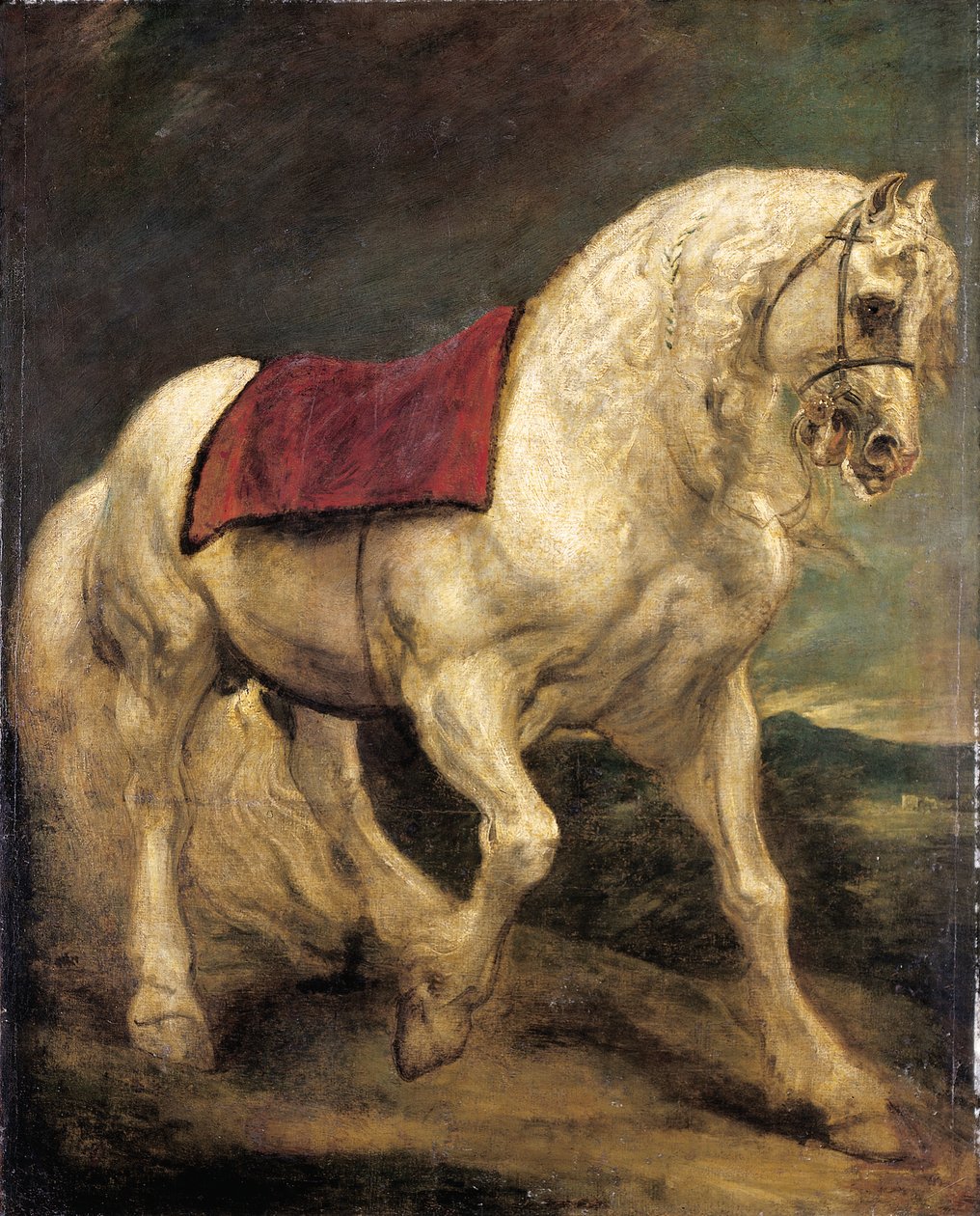 Um garanhão cinza com ponte, com uma sela e crina parcialmente entrançada: um modelo de Anthony van Dyck