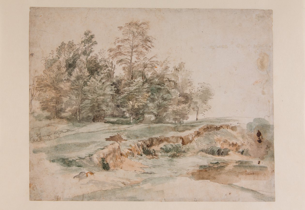 Um tufo de árvores junto a uma estrada arborizada (lápis e aguarela sobre papel) de Anthony van Dyck