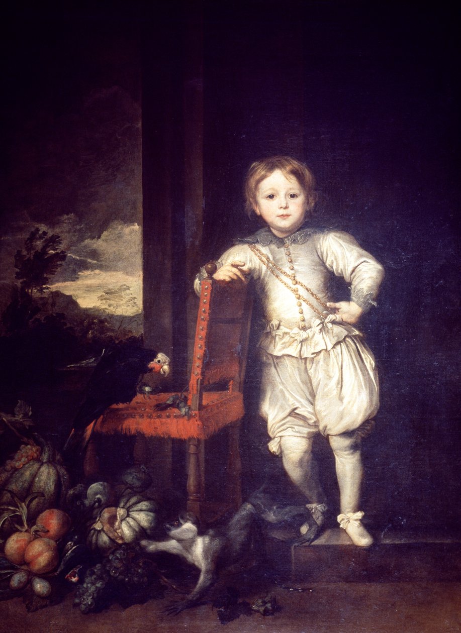 Criança em vestido branco, por Anthony van Dyck (1599-1641) de Anthony van Dyck