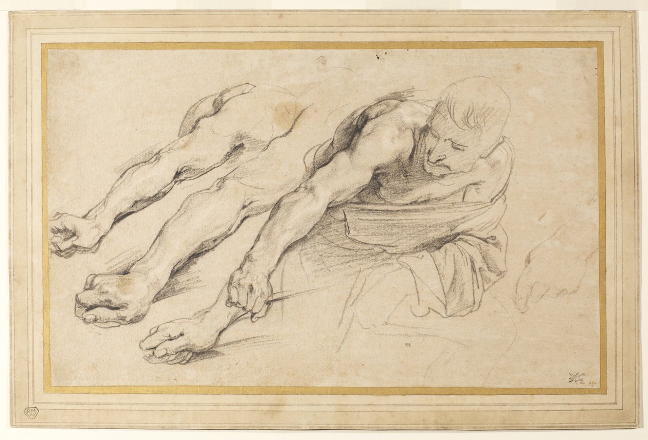 Figura de um homem curvado para a frente com o braço direito estendido; três estudos do braço direito e um da mão esquerda para a mesma figura (giz sobre papel) de Anthony van Dyck