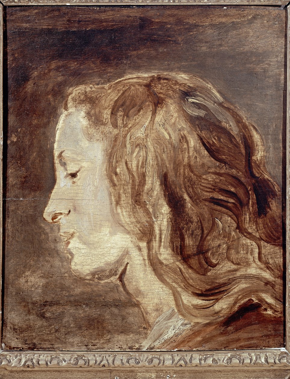 Estudo principal, primeira metade do século XVII (petróleo a bordo) de Anthony van Dyck