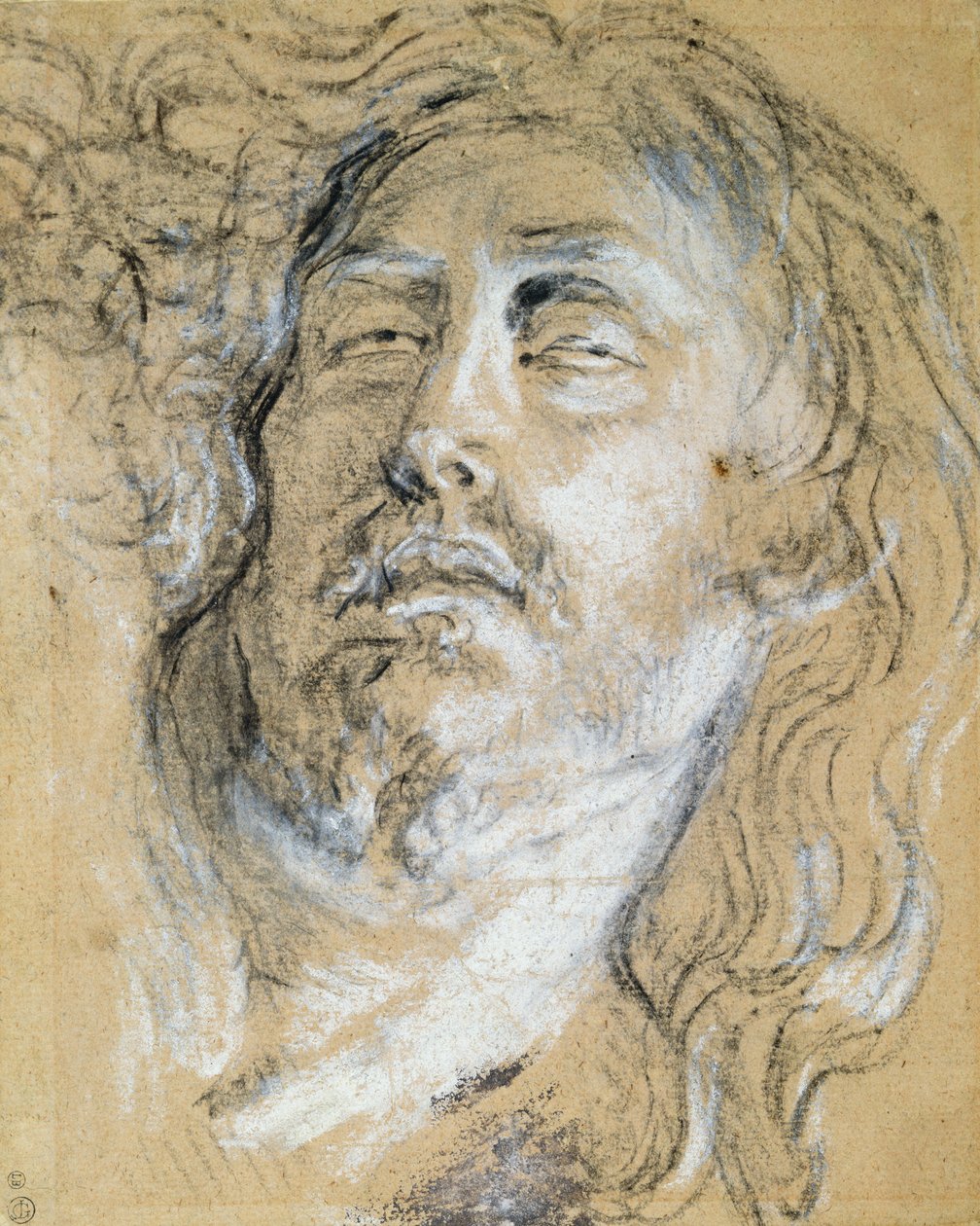 Cabeça do Cristo morto (carvão e giz no papel) de Anthony van Dyck