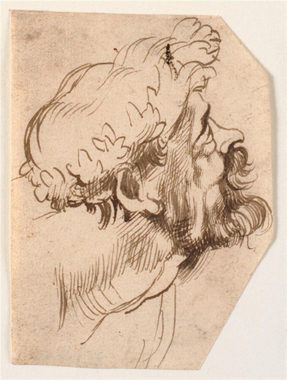 A cabeça de um homem de Anthony van Dyck