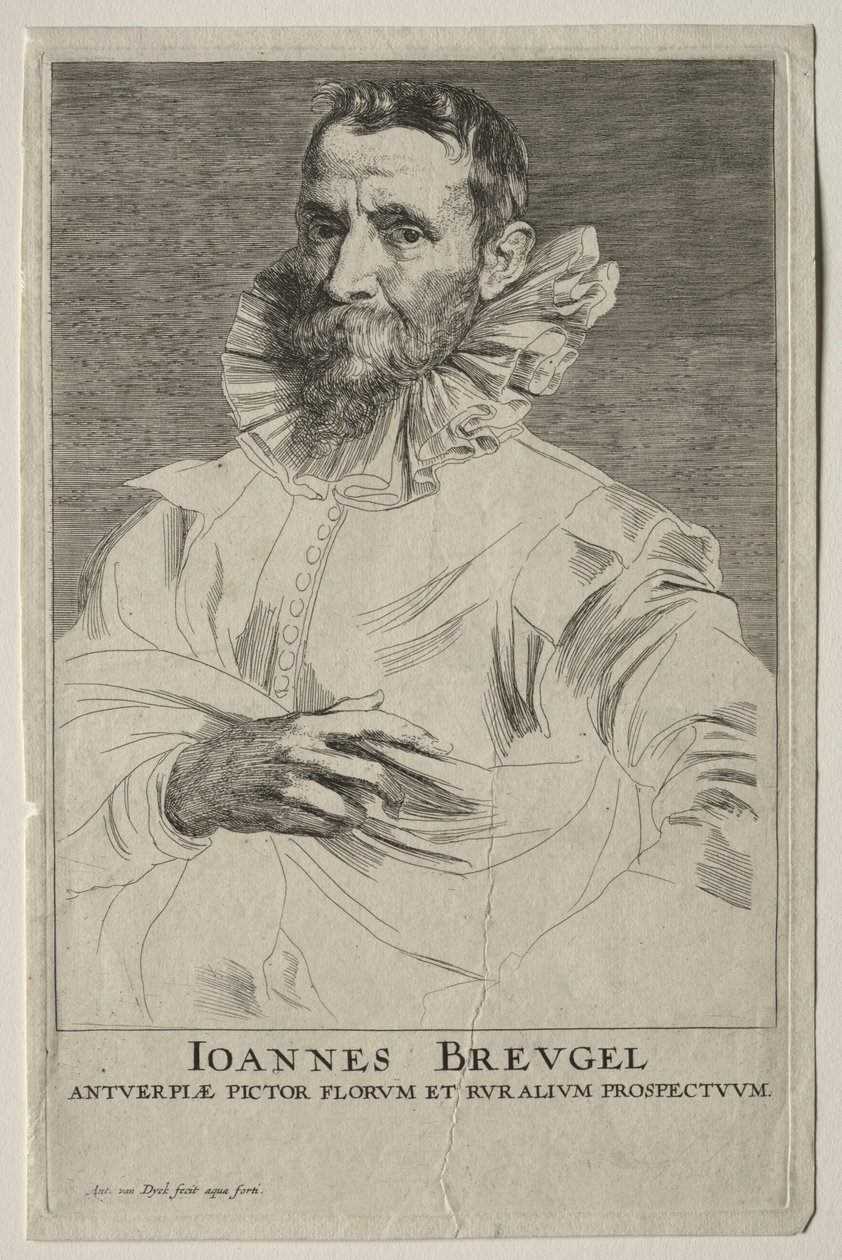Retrato de Jan Brueghel. de Anthony van Dyck