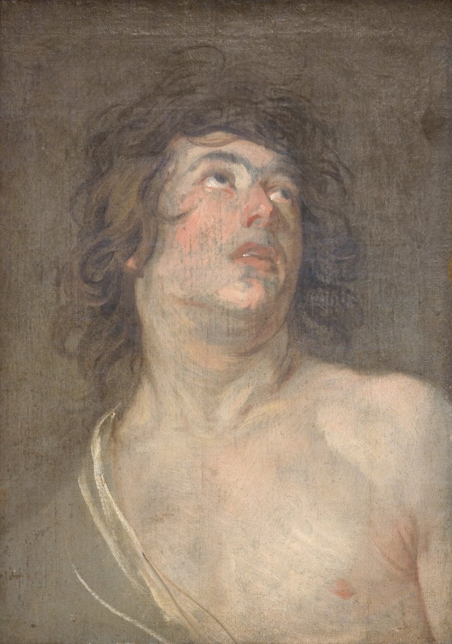 Cabeça de estudo de um jovem olhando para cima. São Sebastião de Anthony van Dyck