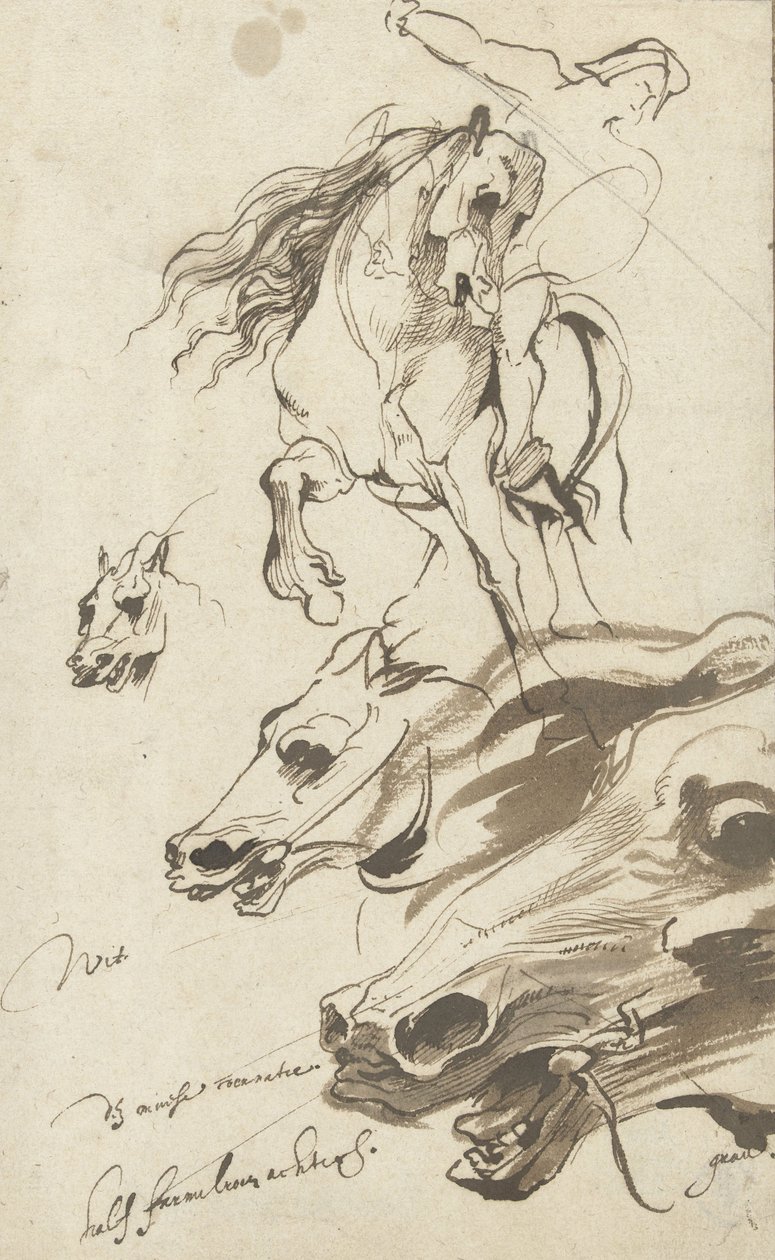 Estudo de Cavaleiro e Cabeça de Cavalo, 1620-1 (caneta e wc no papel) de Anthony van Dyck