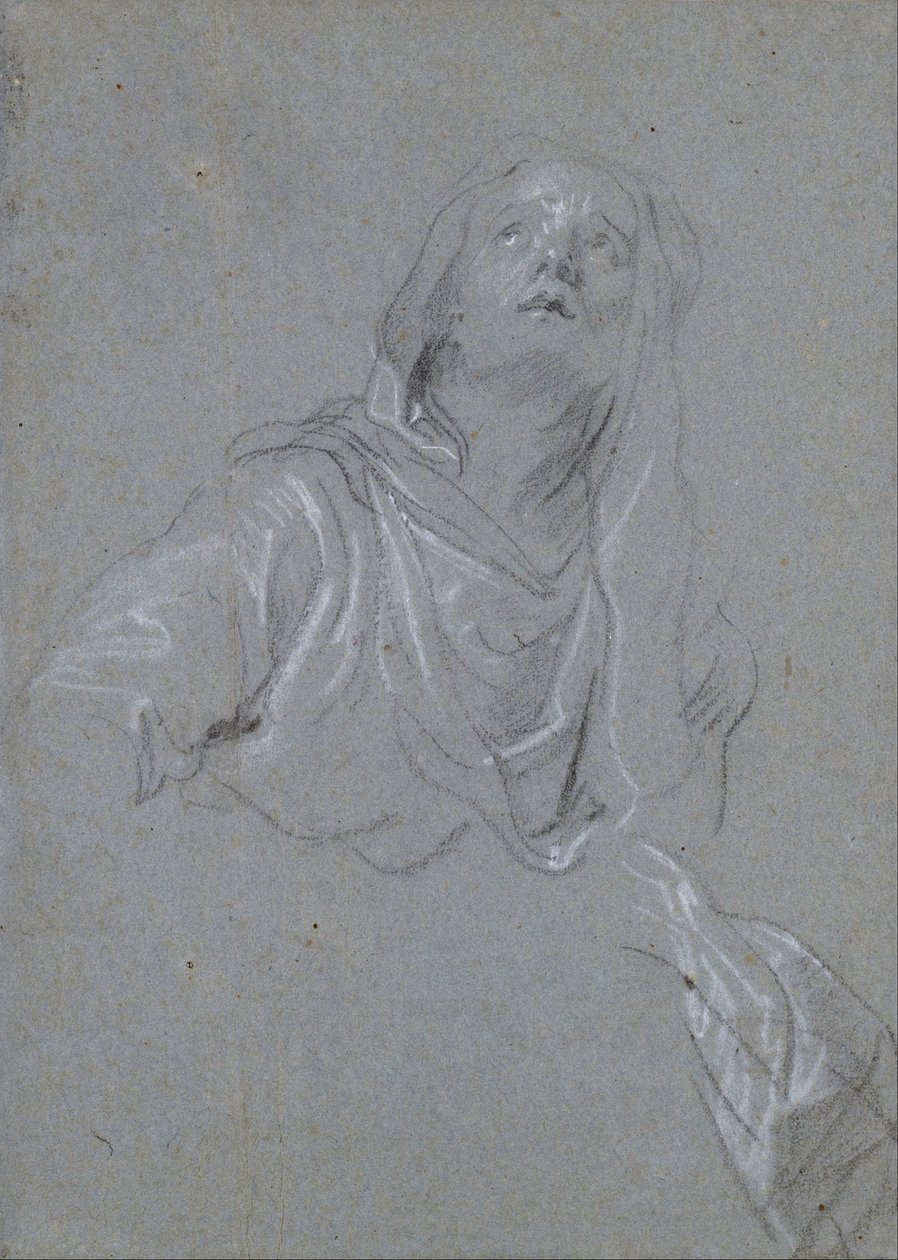 Estudo de uma Madona olhando para cima de Anthony van Dyck