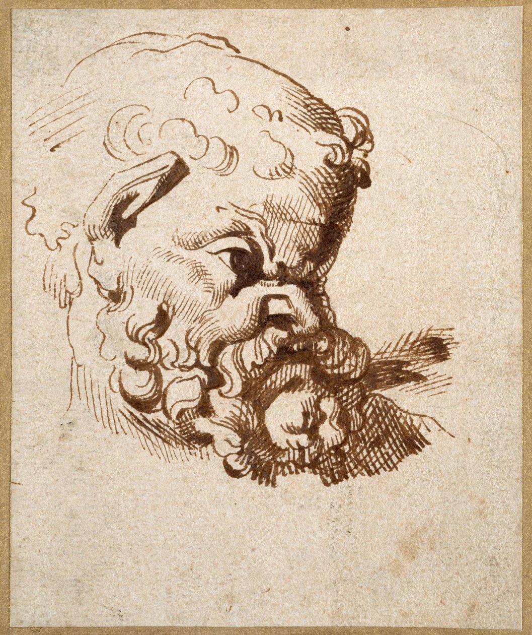 Estudo de uma cabeça antiga de Silenus (caneta e tinta sobre papel) de Anthony van Dyck