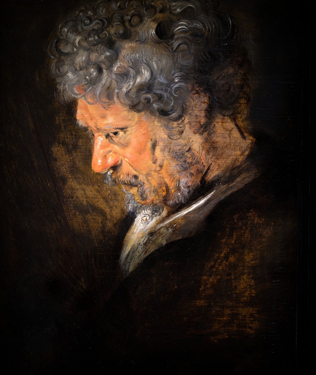 Estudo da cabeça de um velho: perfil esquerdo (pormenor) de Anthony van Dyck